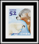 Spotted Seal