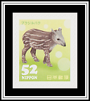 Lowland Tapir