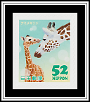 Reticulated Giraffe