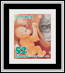 Orangutan