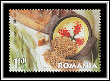 Grains and Bread