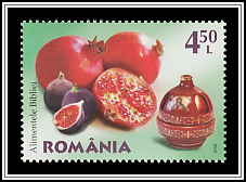 Pomegranates and Figs