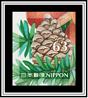 Pine Cone