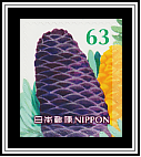 Pine Cone