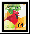 Cardinal & Fruits