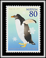 Gentoo Penguin