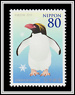 Macaroni Penguin