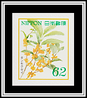 Sweet Osmanthus