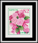 Carnation & Rose