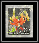 Tiger Lily