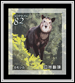 Japanese Serow
