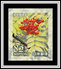 Japanese Rowan