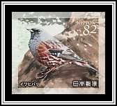 Alpine Accentor