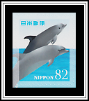 Dolphins