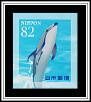 Dolphins