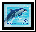 Dolphins