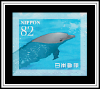 Dolphins
