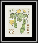 Cucumber Plant