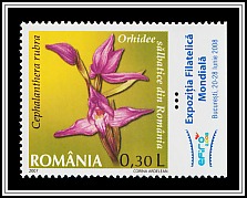 Cephalanthera Rubra