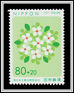 White Flowers