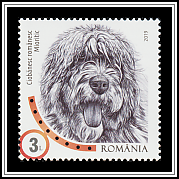 Romanian Mioritic Shepherd