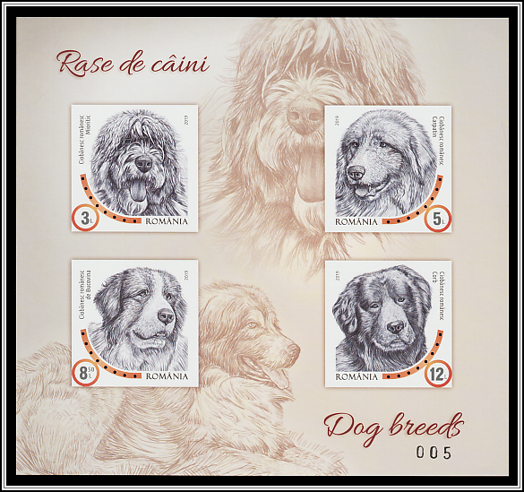 Limited Edition Souvenir Sheet