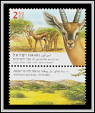 Acacia Gazelle (Gazella acaciae)