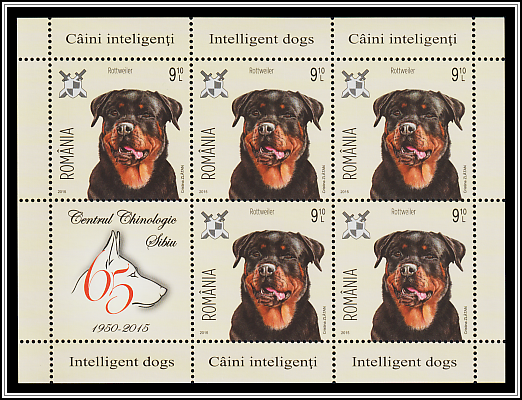 Rottweiler