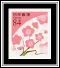 Plum Blossoms
