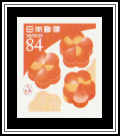 Sliced Shaped Carrots