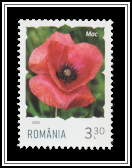 Poppy