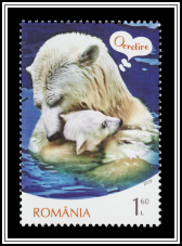 Polar Bears - Tenderness