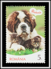 Cat & Dog - Friendship