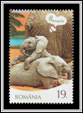 Elephants - Joy