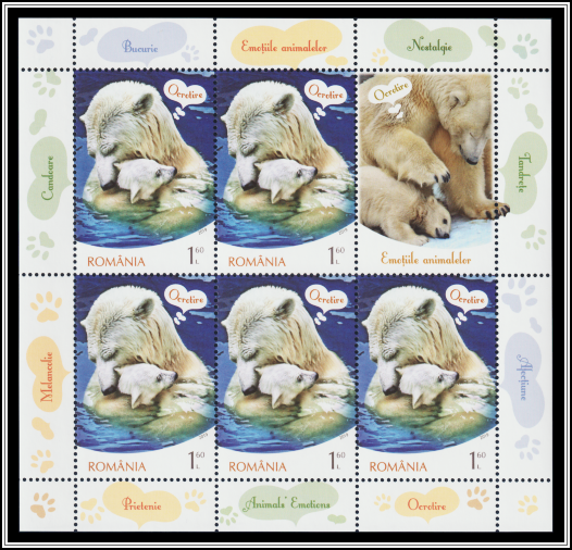Polar Bears - Tenderness