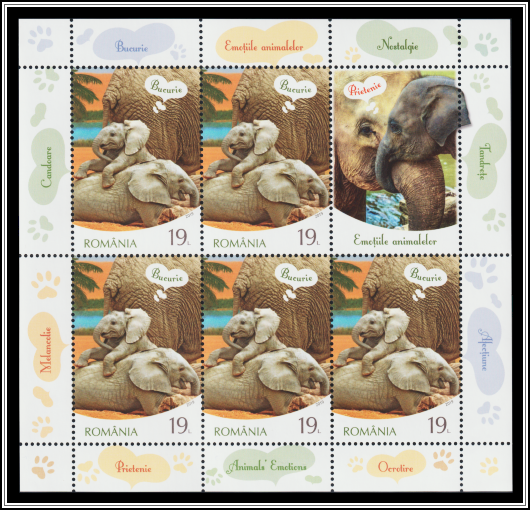 Elephants - Joy