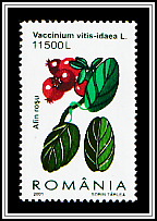 Cowberry