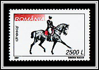 Dressage