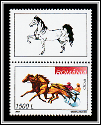 Harness Racing