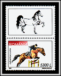 Steeplechase
