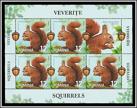 Red Squirrel (Sciurus vulgaris)