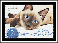 Siamese