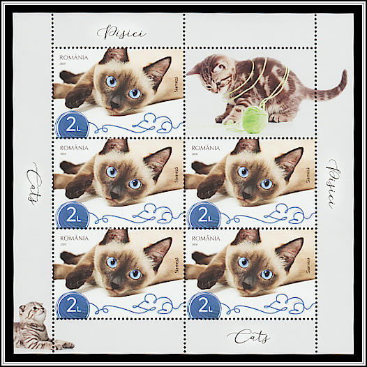 Siamese