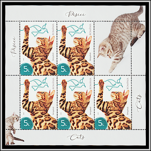 Bengal