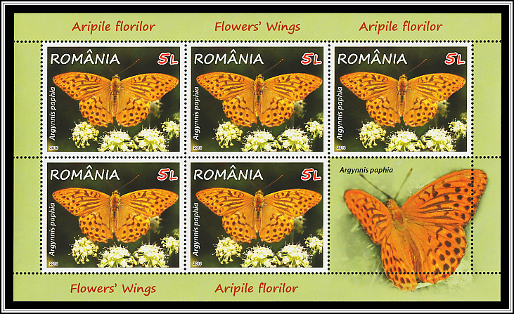 Silver-washed Fritillary (Argynnis paphia)