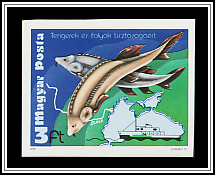 Sturgeon, Black Sea, Research Ship