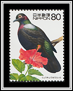 Silver Ribbon Pigeon