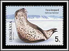 Leopard Seal
