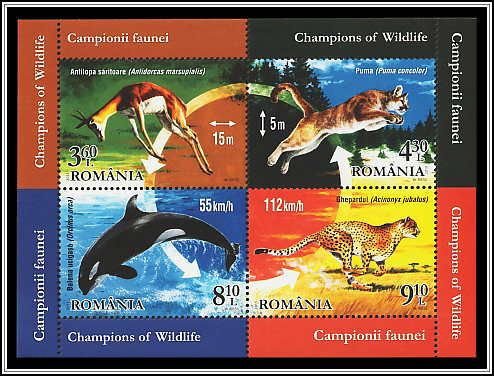Champions of Wildlife