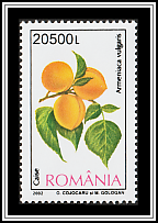 Apricot